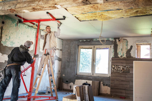Best Eco-Friendly Insulation in Dayton, MN
