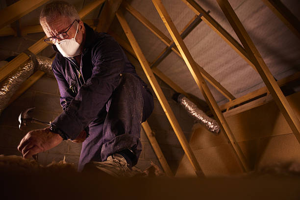 Professional Insulation Contractor in Dayton, MN
